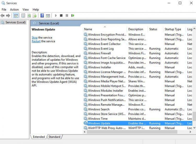 Windows update service